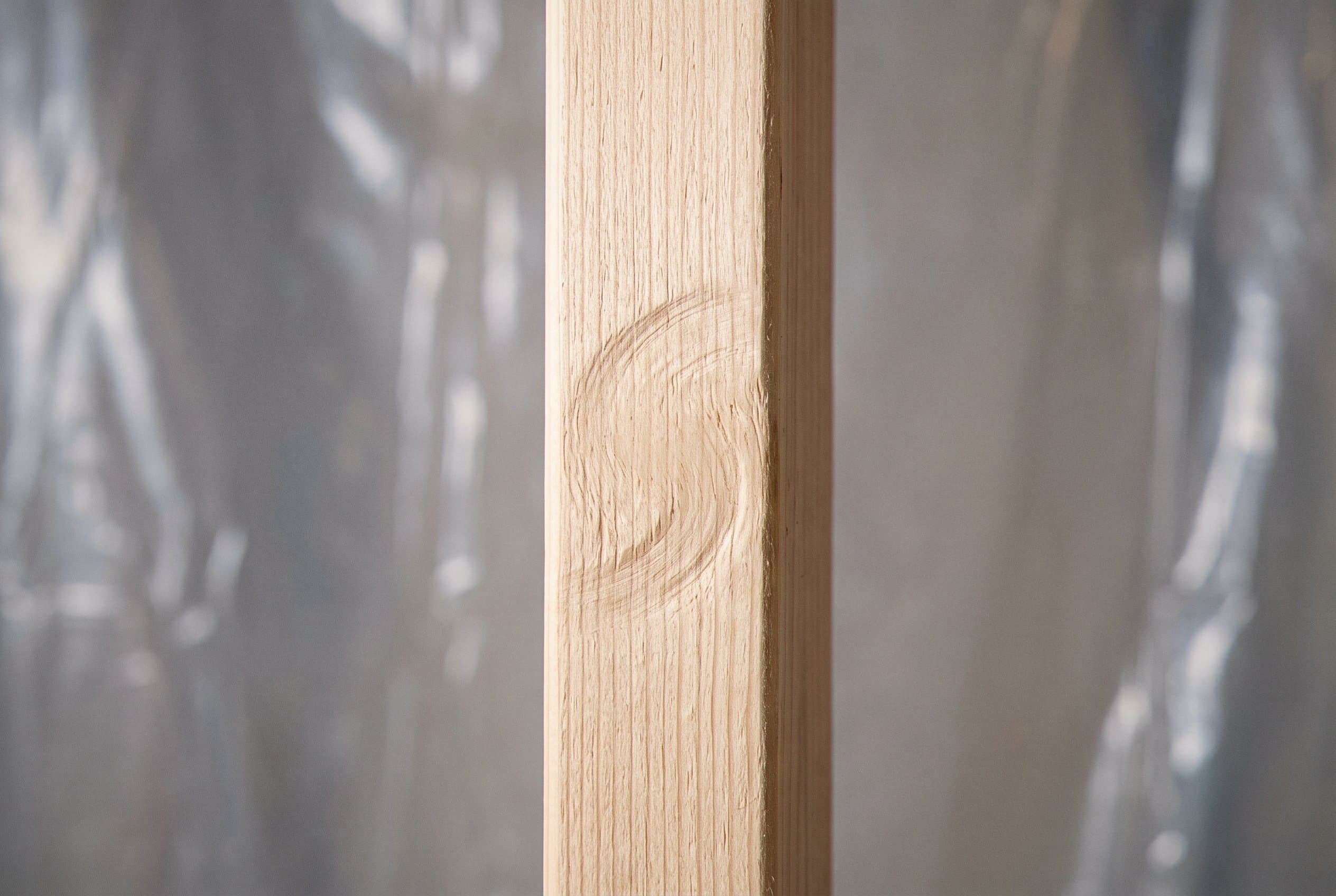 Mold infestation wooden framing close-up