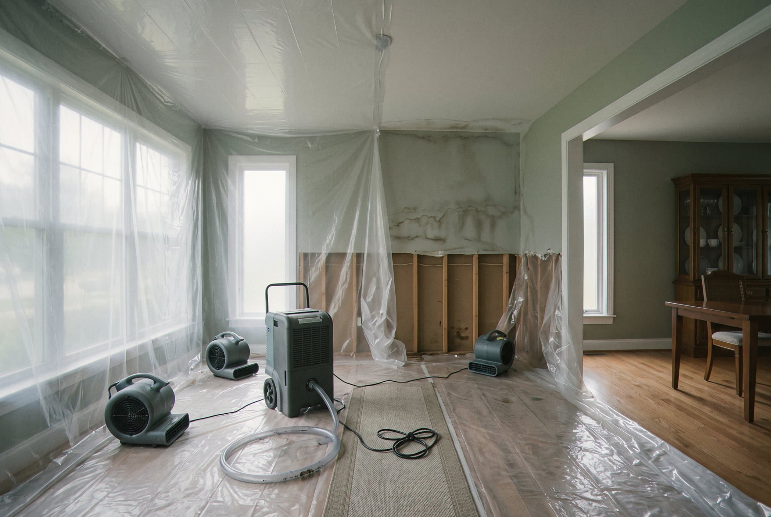 Multiple dehumidifiers air movers operating